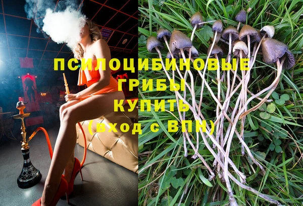 бутират Инта